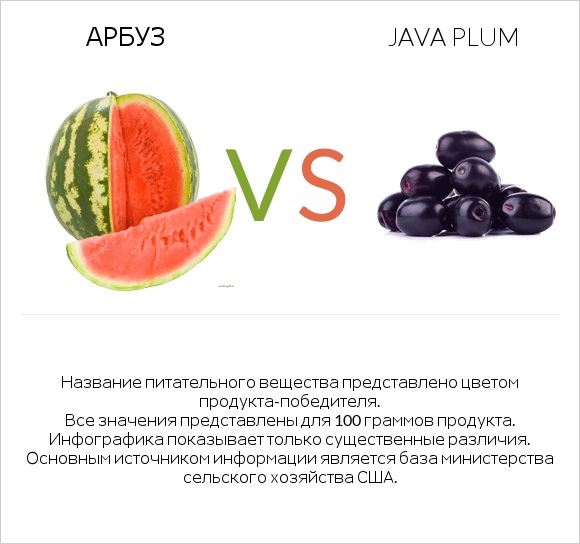 Арбуз vs Java plum infographic