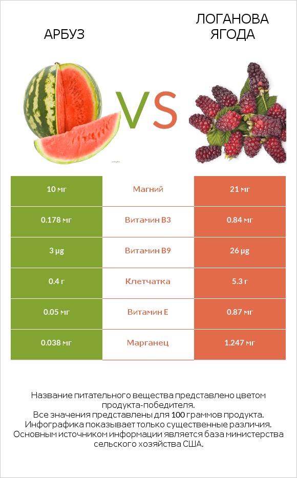 Арбуз vs Логанова ягода infographic