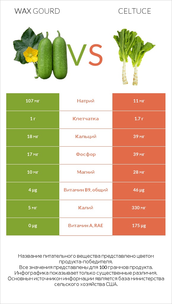 Wax gourd vs Celtuce infographic