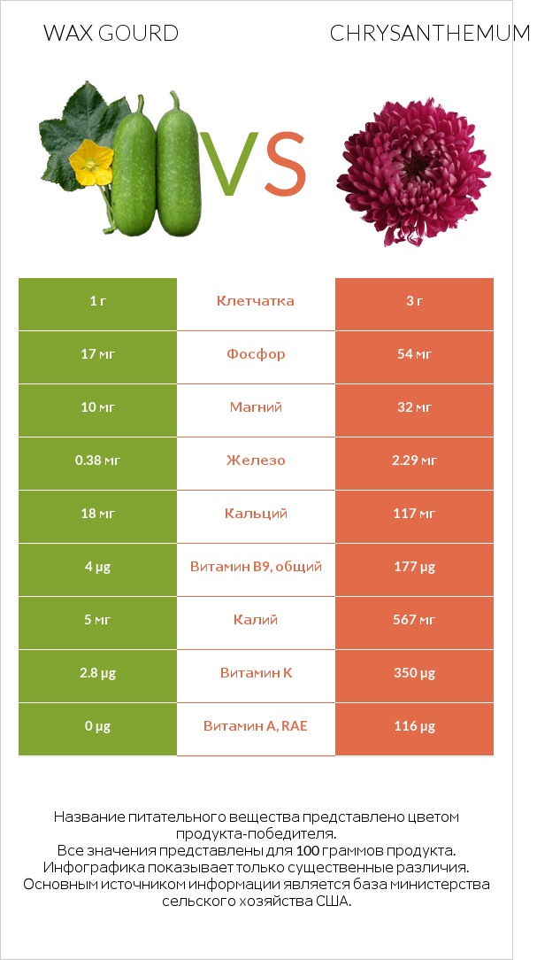 Wax gourd vs Chrysanthemum infographic