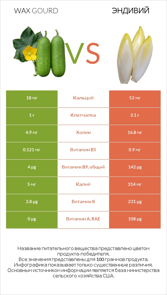 Wax gourd vs Эндивий infographic