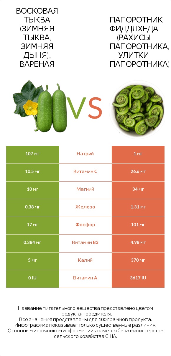 Wax gourd vs Fiddlehead ferns infographic