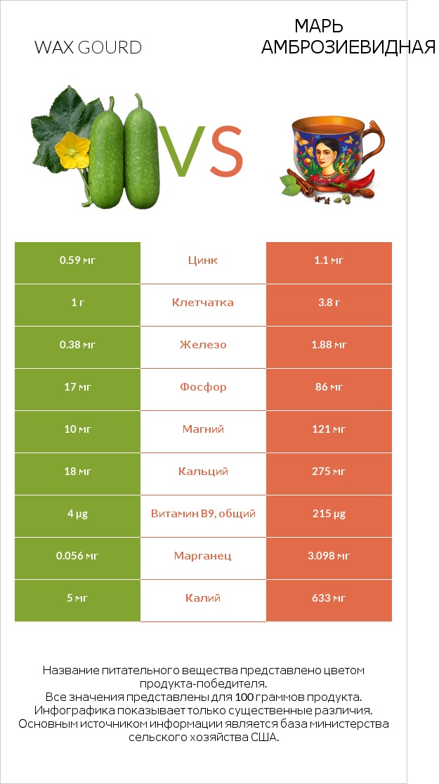Wax gourd vs Марь амброзиевидная infographic