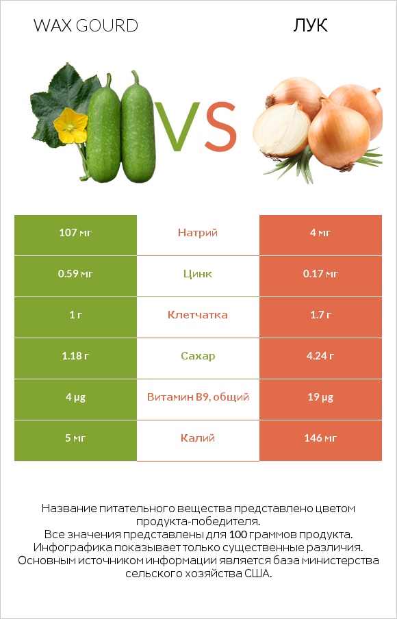 Wax gourd vs Лук infographic