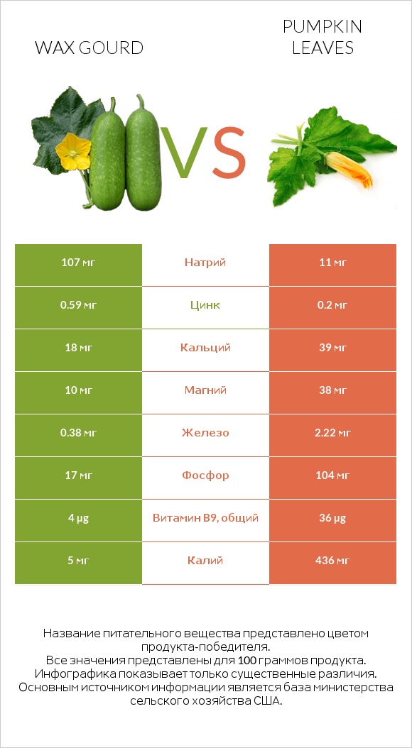 Wax gourd vs Pumpkin leaves infographic