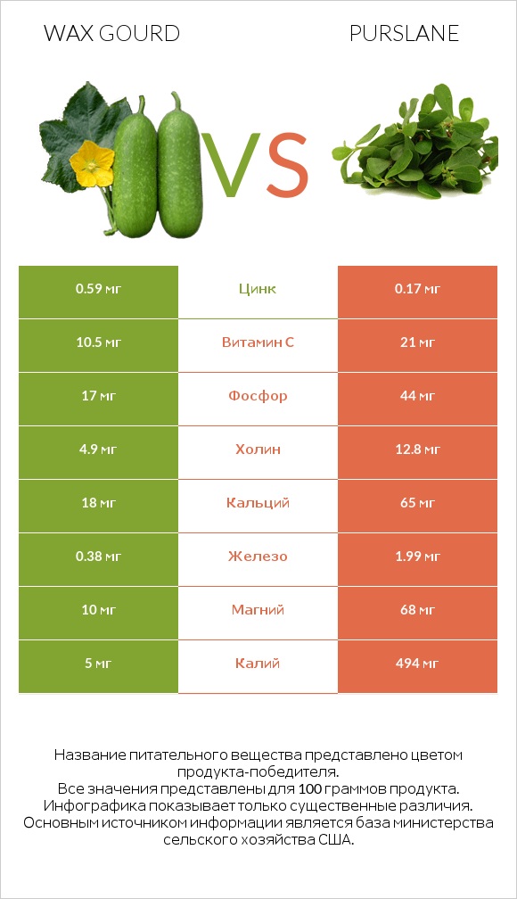 Wax gourd vs Purslane infographic