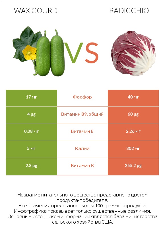 Wax gourd vs Radicchio infographic