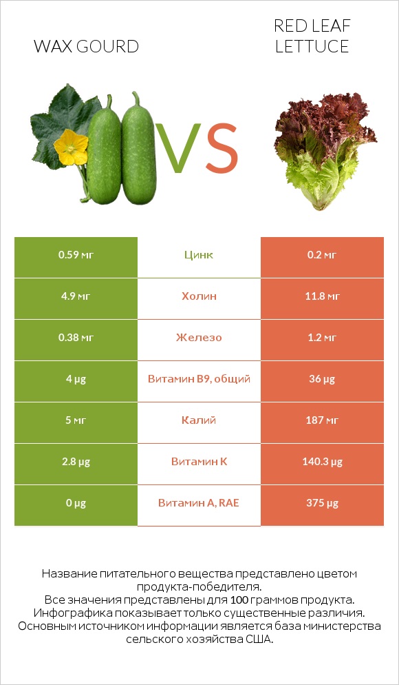 Wax gourd vs Red leaf lettuce infographic