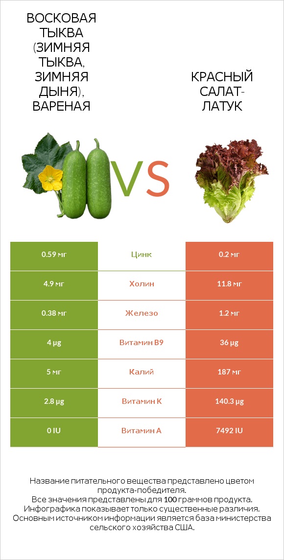 Wax gourd vs Red leaf lettuce infographic