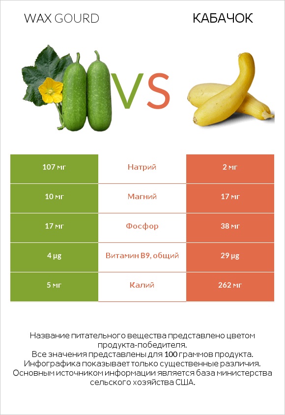 Wax gourd vs Кабачок infographic