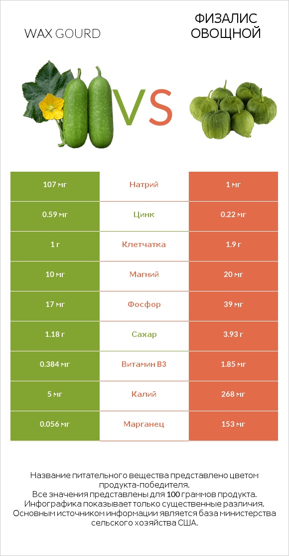 Wax gourd vs Физалис овощной infographic