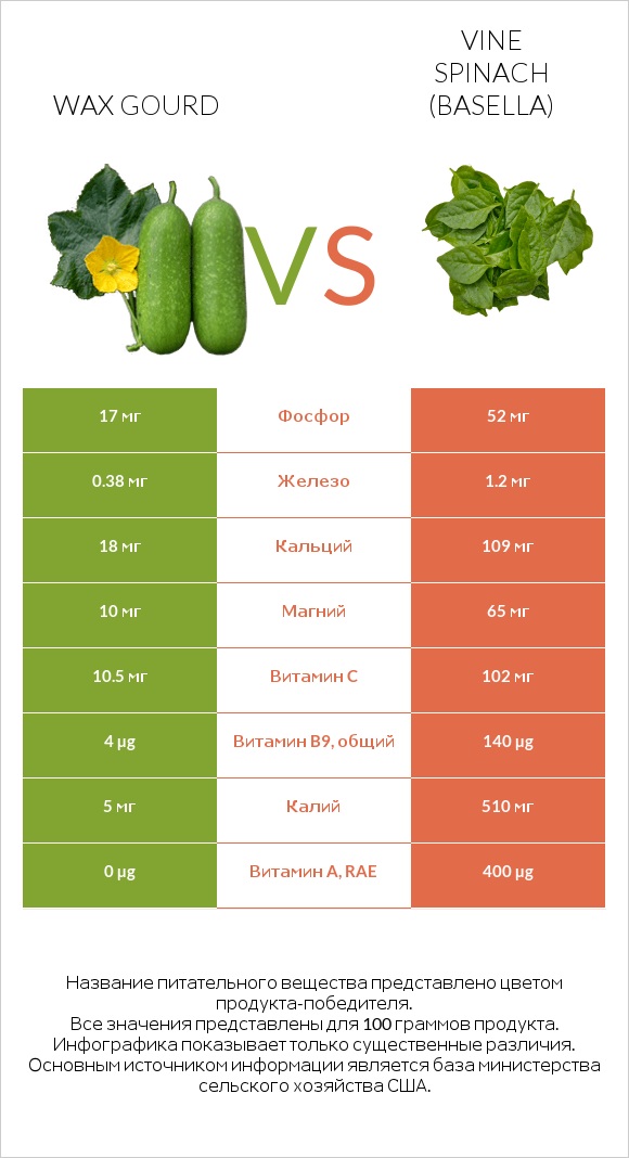 Wax gourd vs Vine spinach (basella) infographic