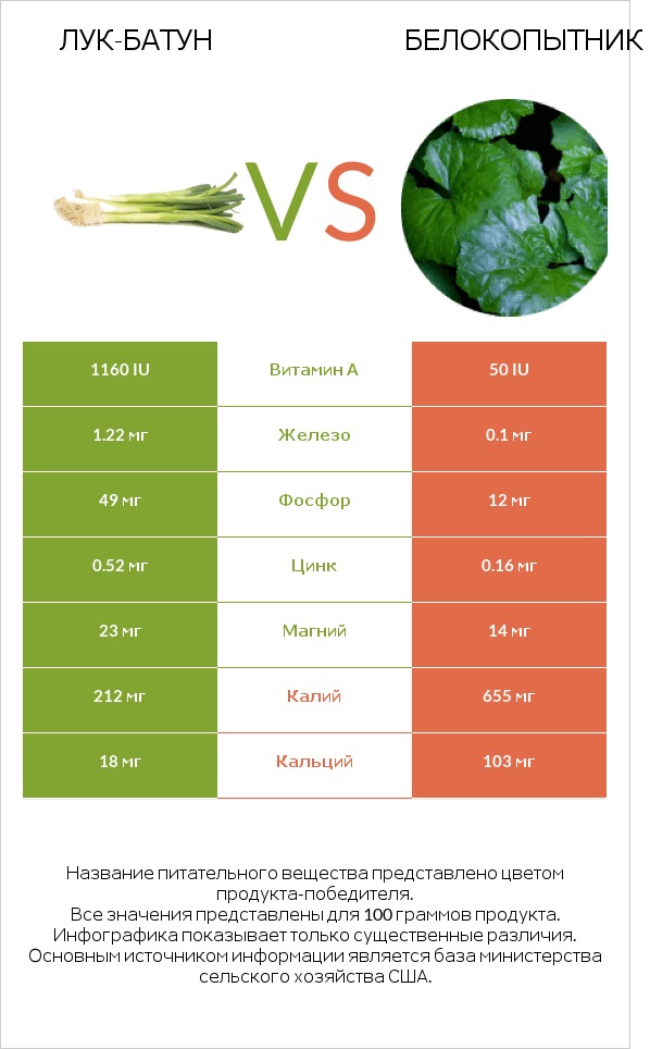 Лук-батун vs Butterbur infographic