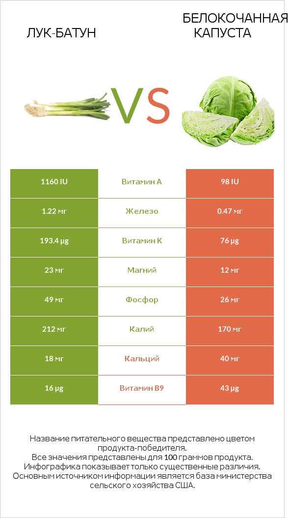 Лук-батун vs Белокочанная капуста infographic