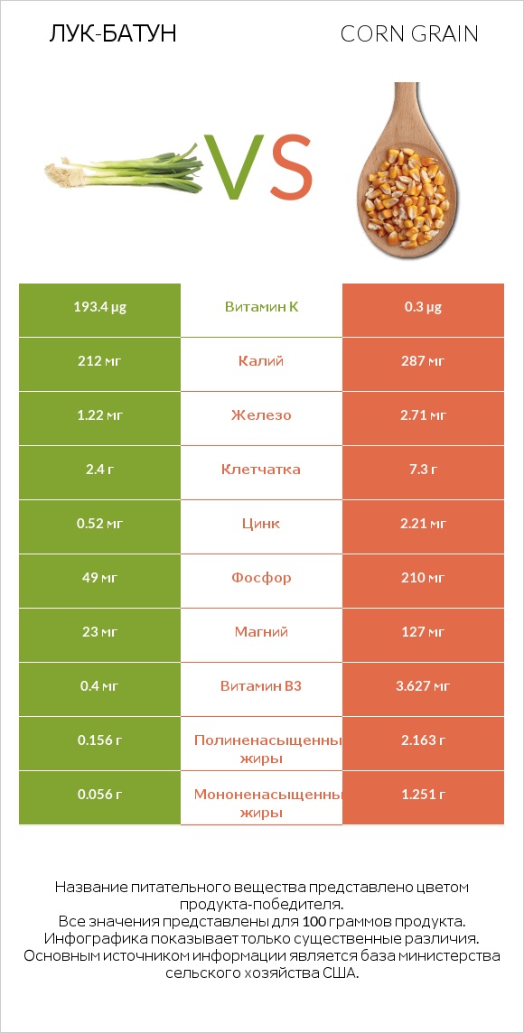 Лук-батун vs Corn grain infographic