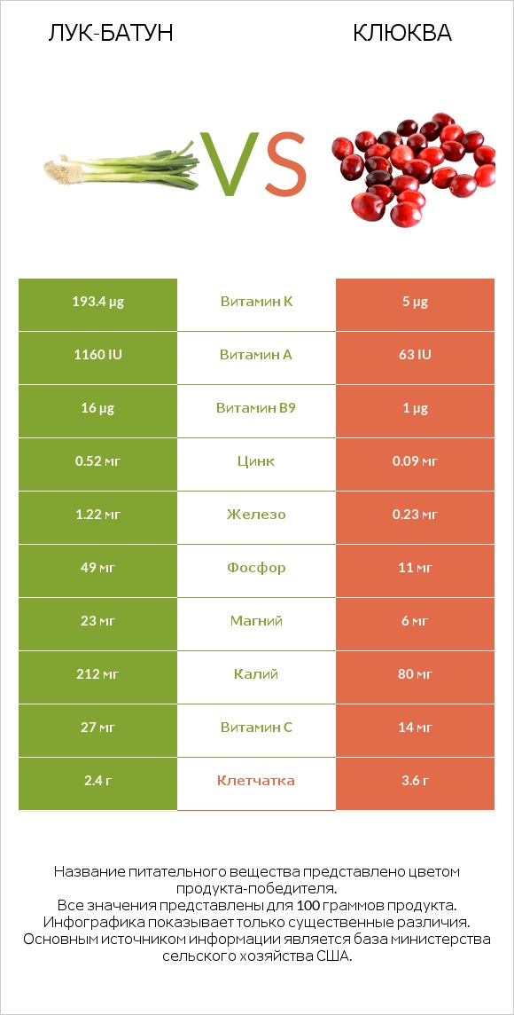 Лук-батун vs Клюква infographic