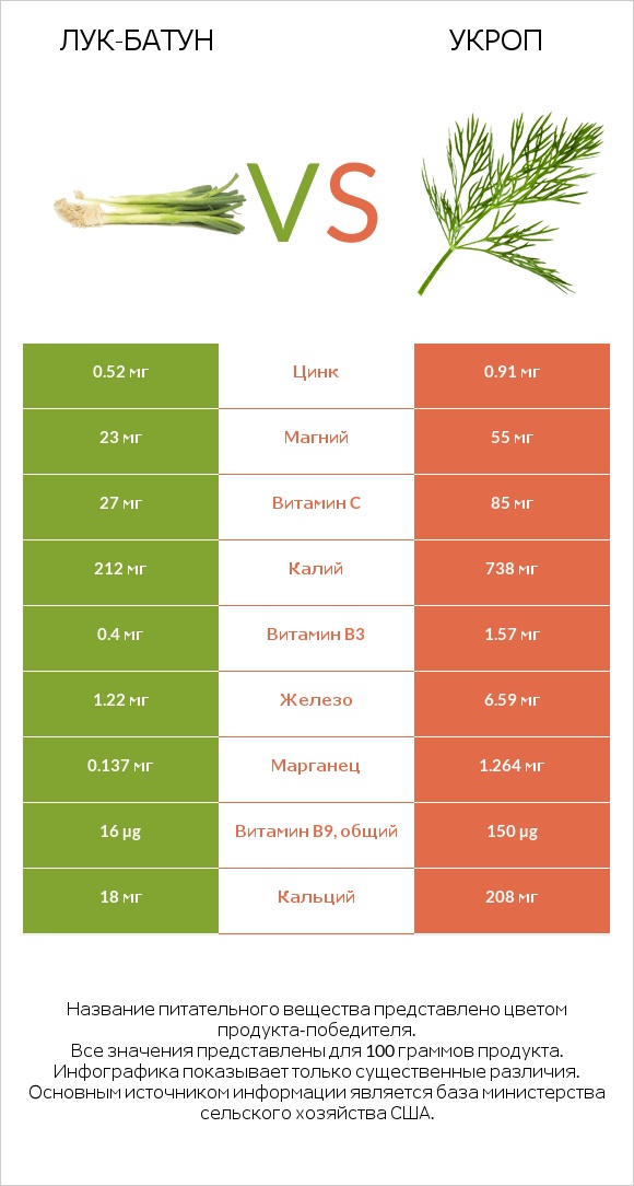 Лук-батун vs Укроп infographic