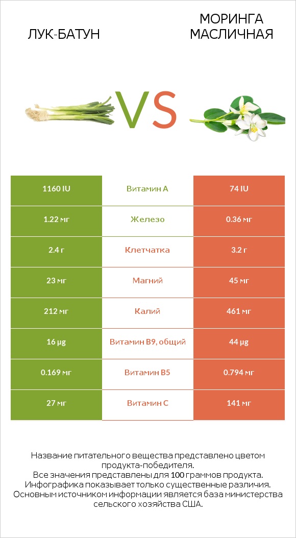 Лук-батун vs Моринга масличная infographic