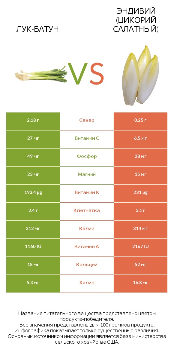 Лук-батун vs Эндивий (Цикорий салатный)  infographic