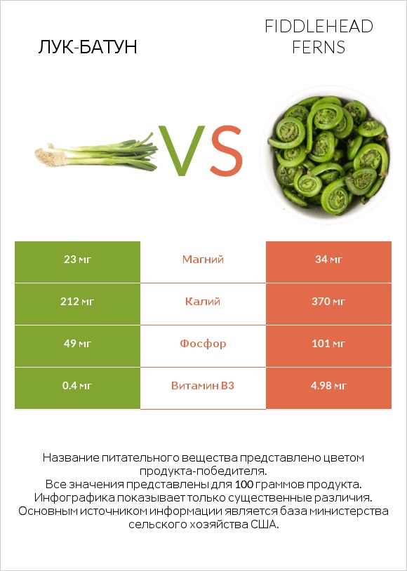 Лук-батун vs Fiddlehead ferns infographic