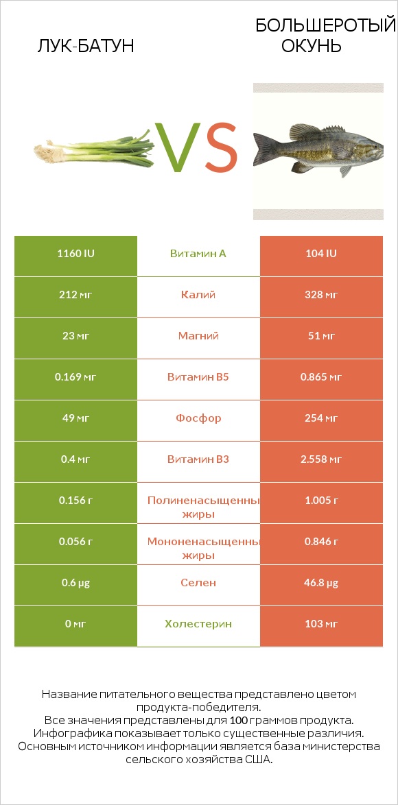 Лук-батун vs Большеротый окунь infographic