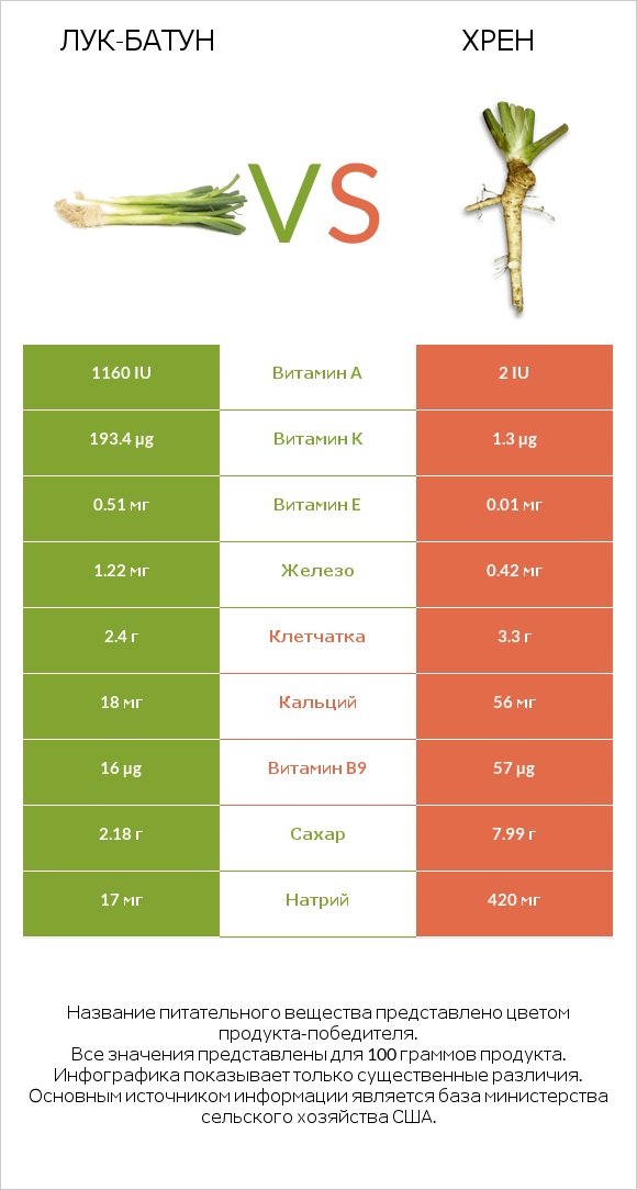 Лук-батун vs Хрен infographic