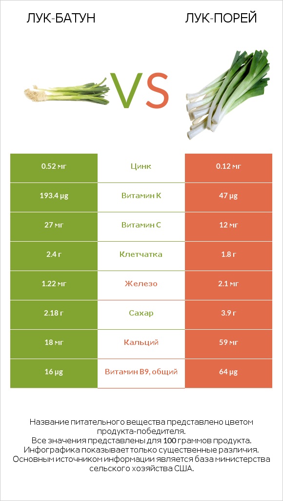 Лук-батун vs Лук-порей infographic