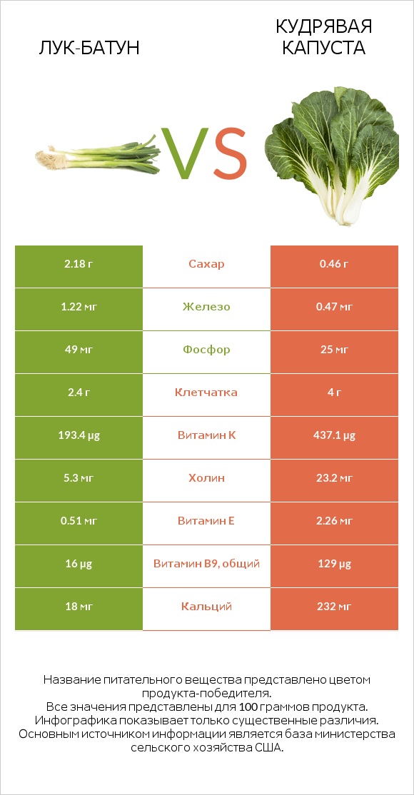 Лук-батун vs Кудрявая капуста infographic