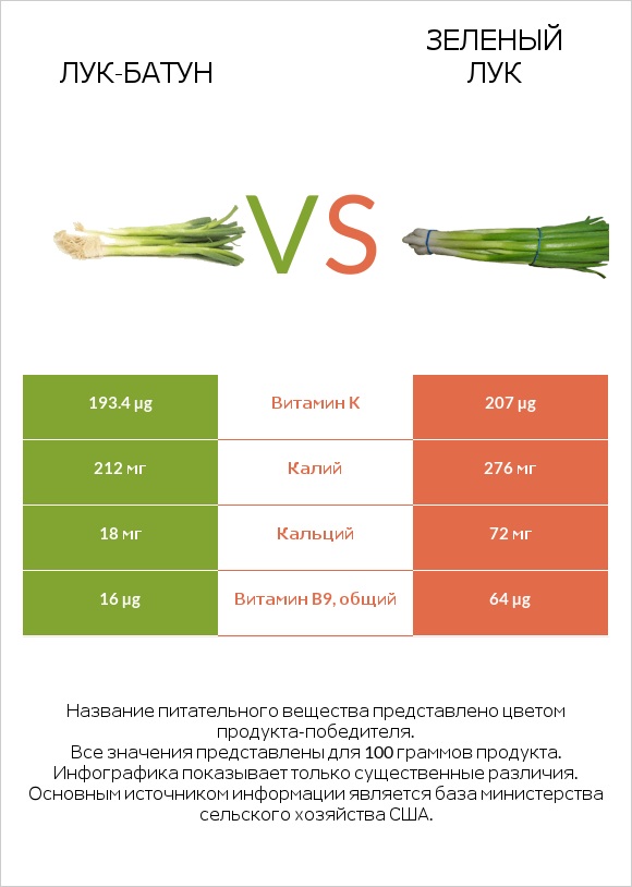 Лук-батун vs Зеленый лук infographic