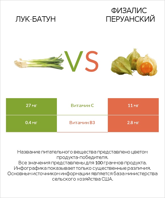 Лук-батун vs Физалис перуанский infographic