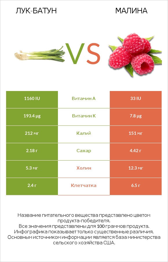 Лук-батун vs Малина infographic