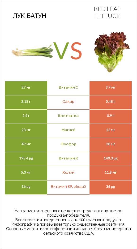 Лук-батун vs Red leaf lettuce infographic