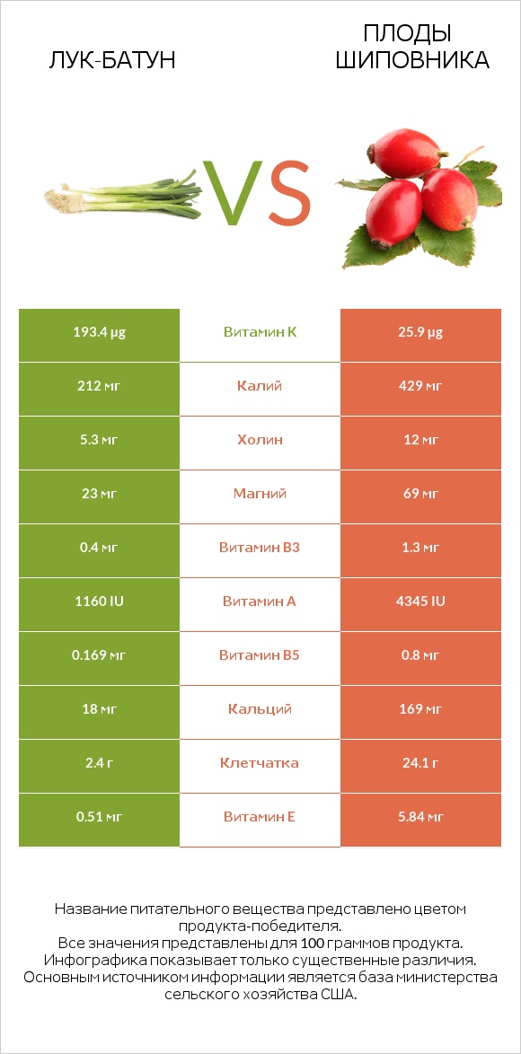 Лук-батун vs Плоды шиповника infographic