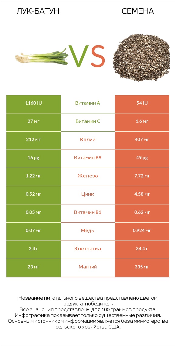 Лук-батун vs Семена infographic
