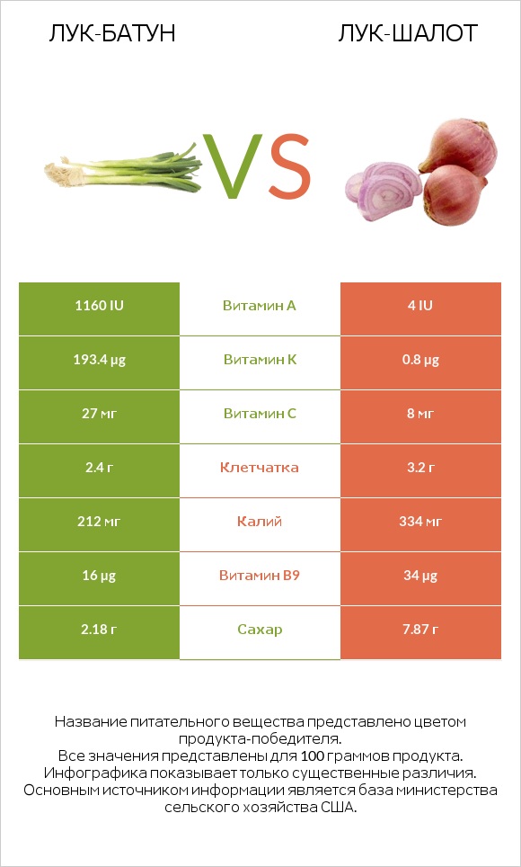 Лук-батун vs Лук-шалот infographic