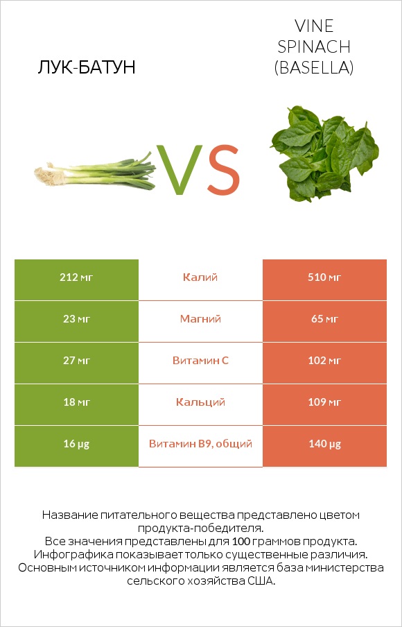 Лук-батун vs Vine spinach (basella) infographic