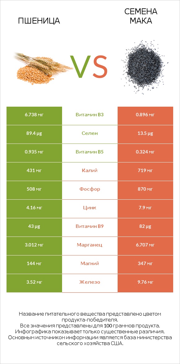 Пшеница vs Семена мака infographic