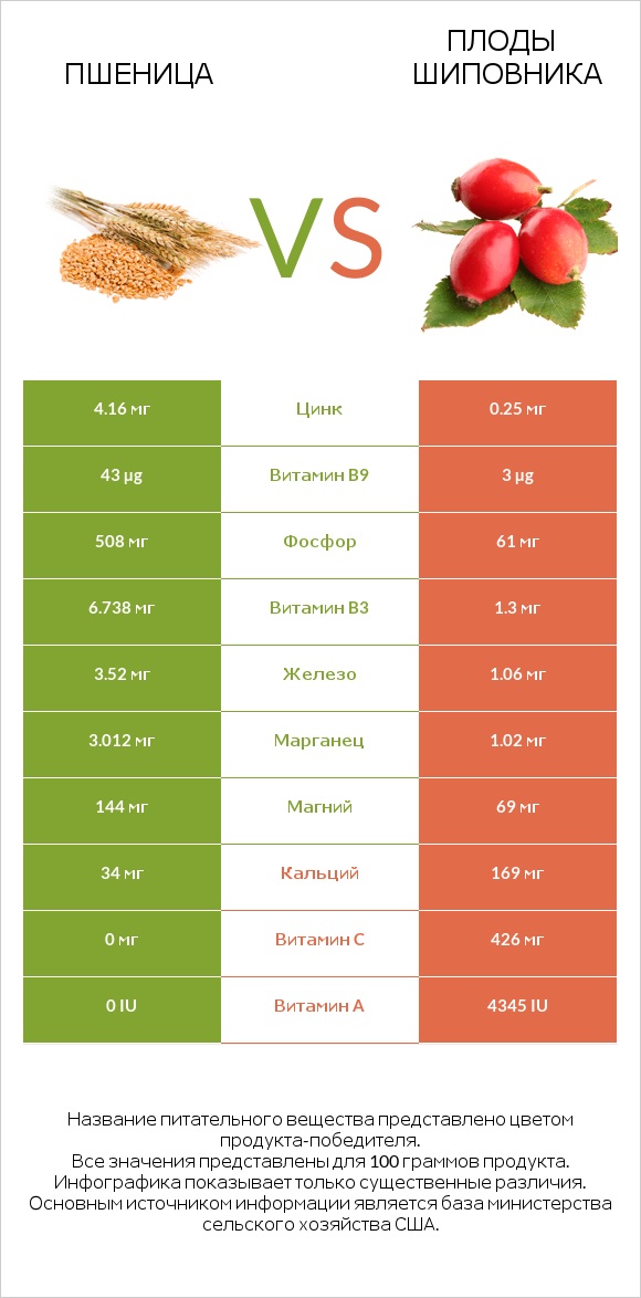 Пшеница vs Плоды шиповника infographic