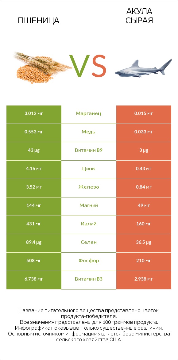 Пшеница vs Акула сырая infographic