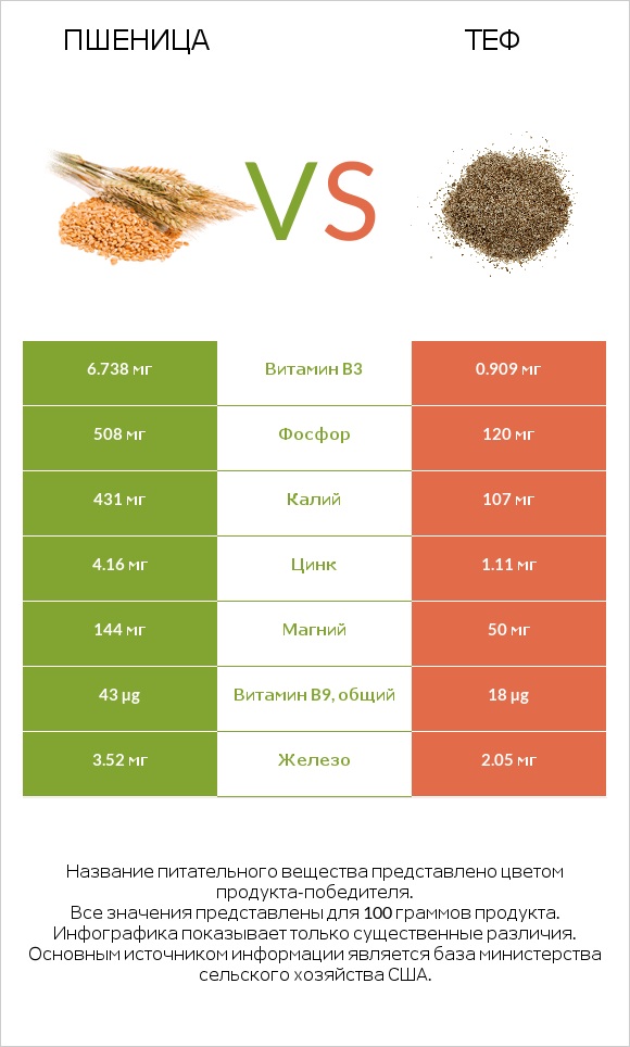 Пшеница vs Теф infographic