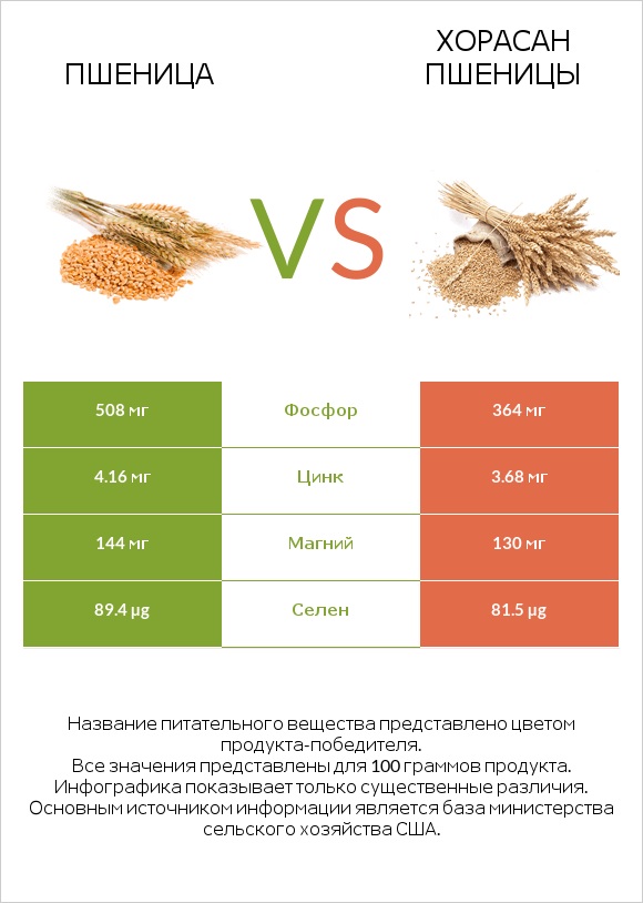 Пшеница vs Хорасан пшеницы infographic