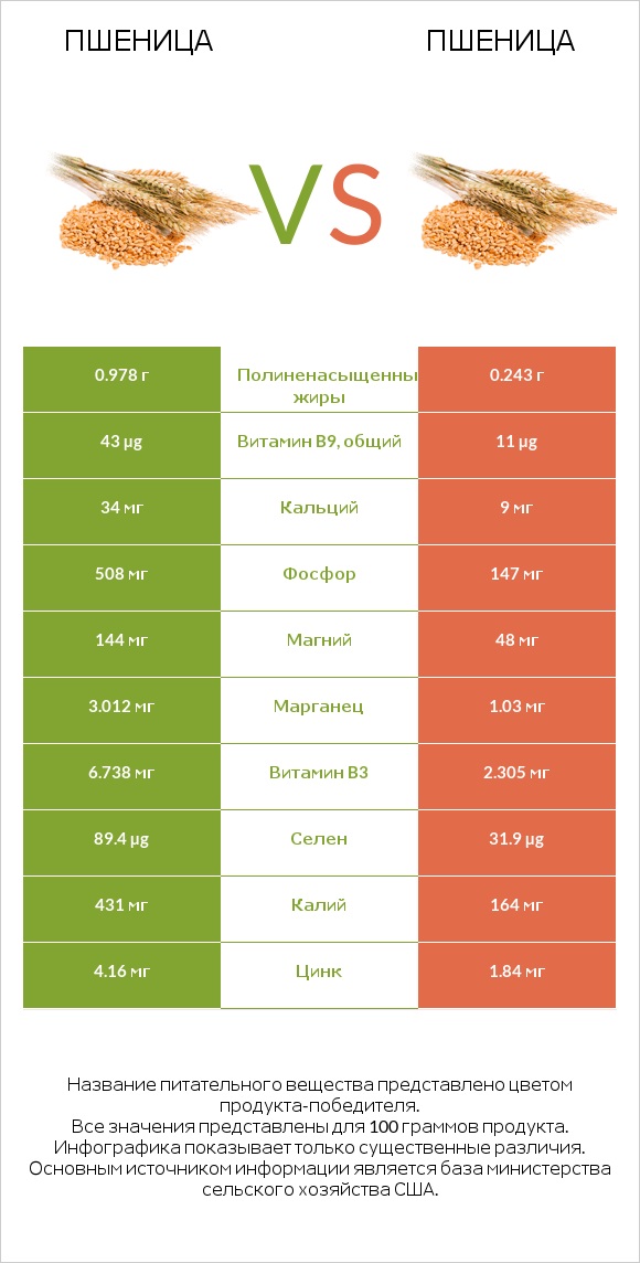 Пшеница vs Пшеница infographic