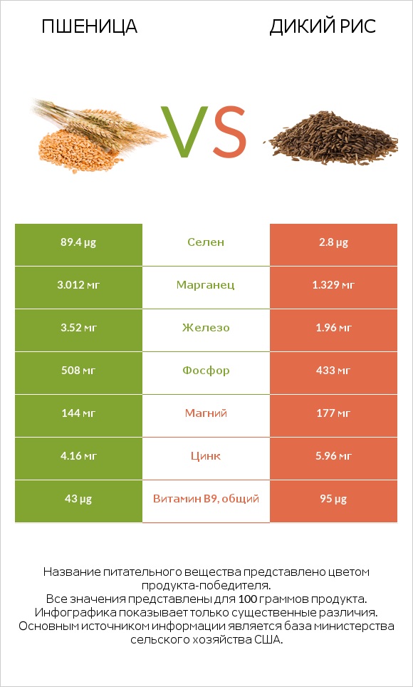 Пшеница vs Дикий рис infographic