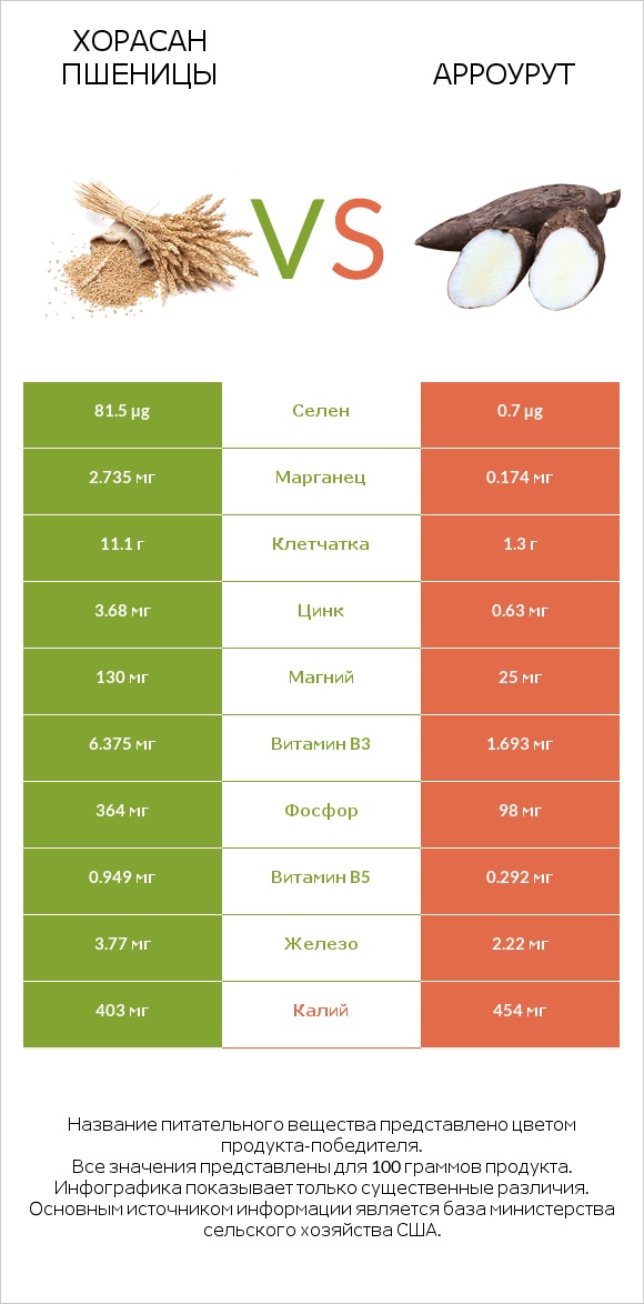 Хорасан пшеницы vs Арроурут infographic