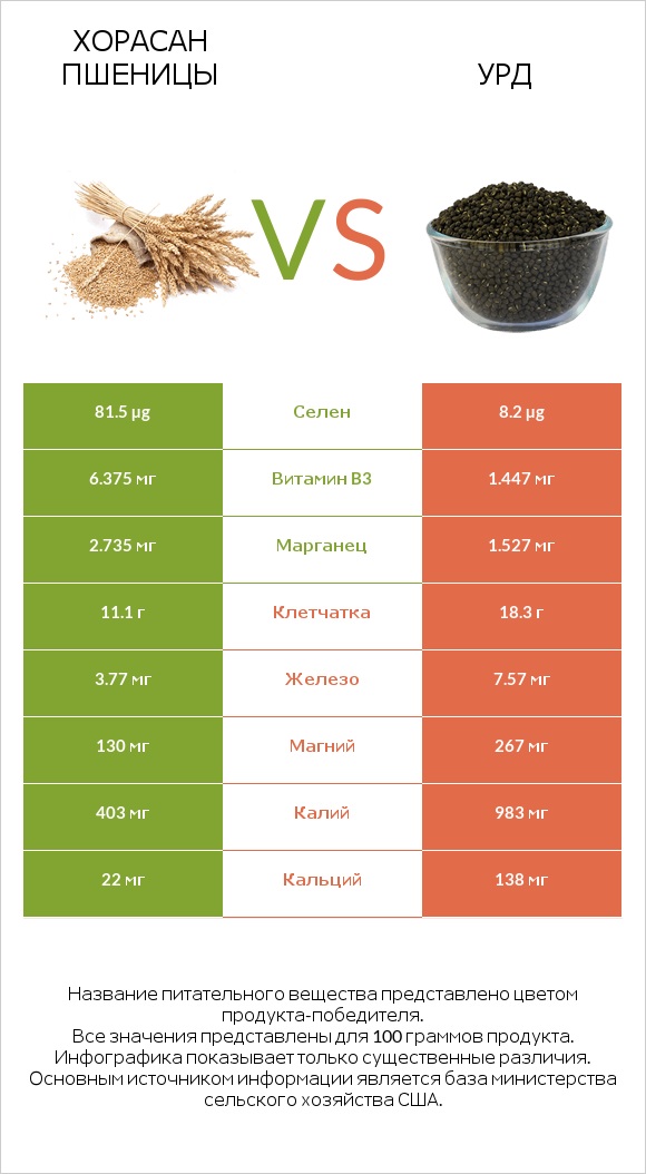 Хорасан пшеницы vs Урд infographic