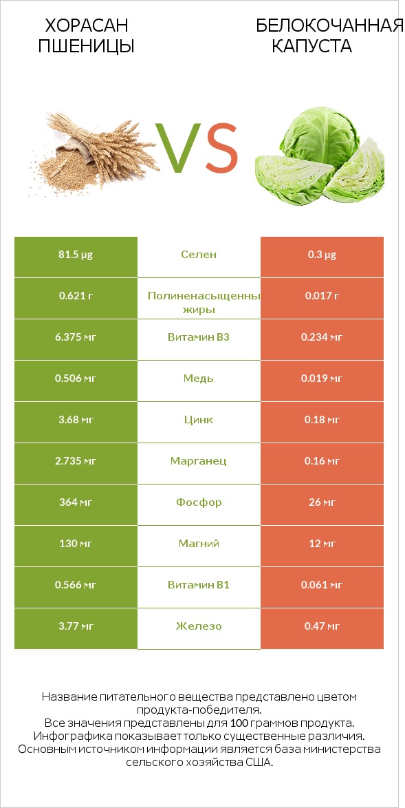 Хорасан пшеницы vs Белокочанная капуста infographic