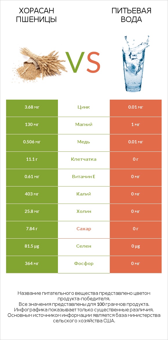 Хорасан пшеницы vs Питьевая вода infographic