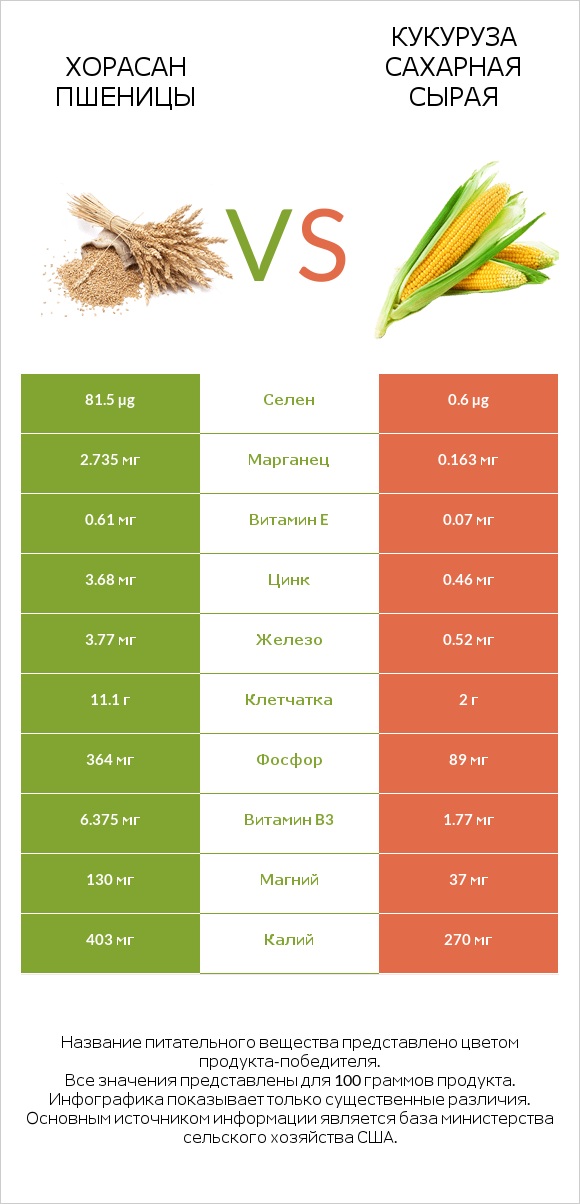 Хорасан пшеницы vs Кукуруза сахарная сырая infographic