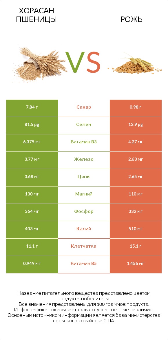 Хорасан пшеницы vs Рожь infographic