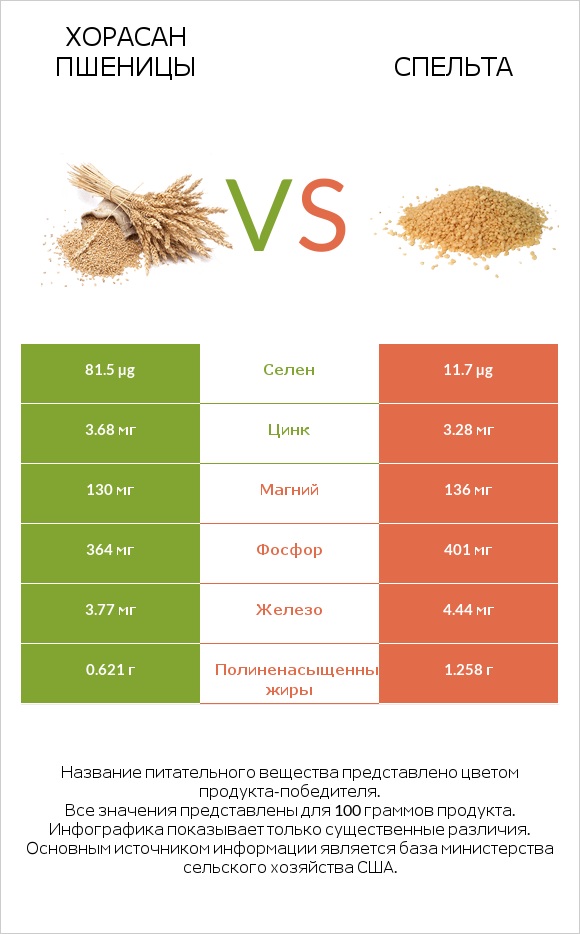 Хорасан пшеницы vs Спельта infographic